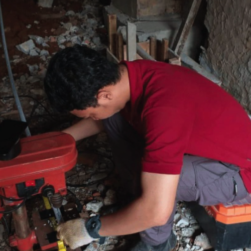 Jangan Tunggu Rumah Ambruk! Jasa Basmi Rayap Ini Lagi Dicari Banyak Orang